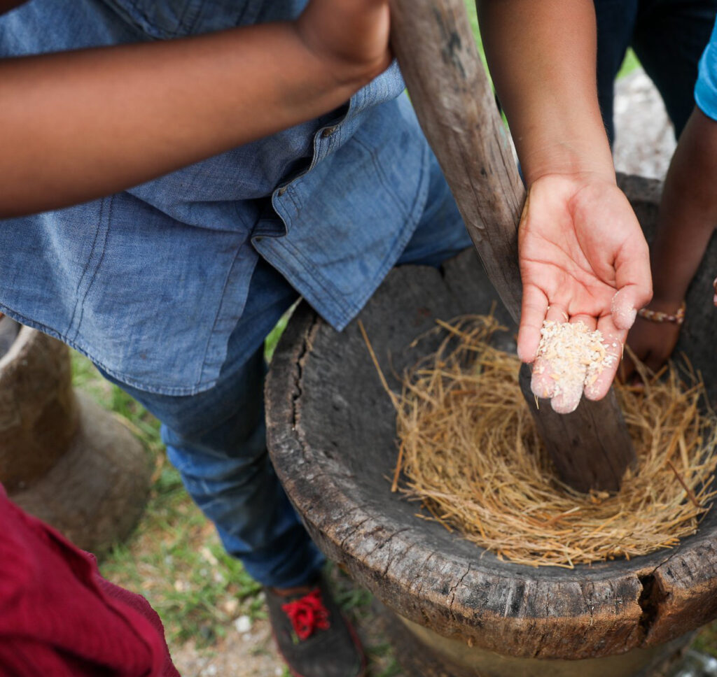 rice-threshing