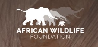 African Wildlife Foundation